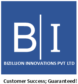 BiZillion Innovations